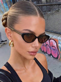 1 Pair Women's And Men's Brown Cat Eye Casual Style Fashion Glasses, Suitable For Beach Accessories, Women's Summer Beach Vacation, Outdoor Travel Glasses, Suitable For Outing Outfits, Back To School Season