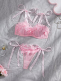 2pcs Women's Sexy Lingerie Set, Pink Mesh Bra With Exaggerated 3D Floral Lace, Tie-Up Design, Suitable For Valentine's Day